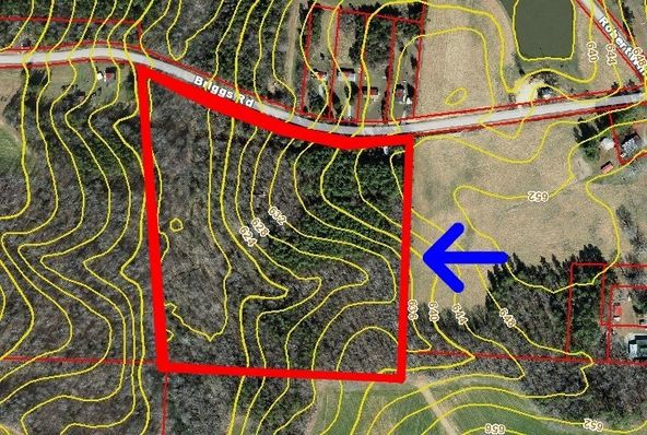 0 Briggs Road, Hurdle Mills, NC 27541